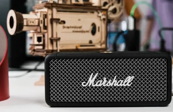 Marshall Emberton II缺點